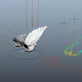 Animated Pigeon Rig 3d model