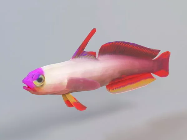 Animated Purple Fish Rig 3d model Animated Purple Fish Rig 3d model