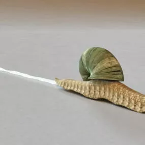 Animated Snail 3d model