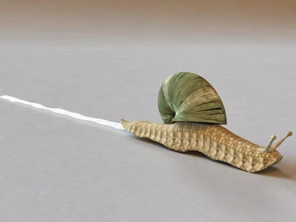 Animated Snail 3d model Animated Snail 3d model
