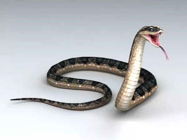 Brown Snake Crawling 3d model
