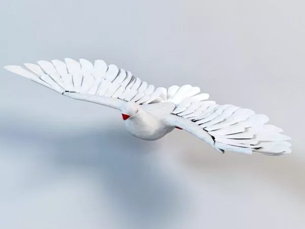 Animated White Pigeon Flying Rig 3d model Animated White Pigeon Flying Rig 3d model