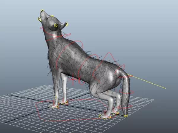 Animated Wolf 3d model Animated Wolf 3d model