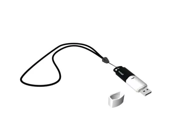 Torches Flash Lamp 3d model