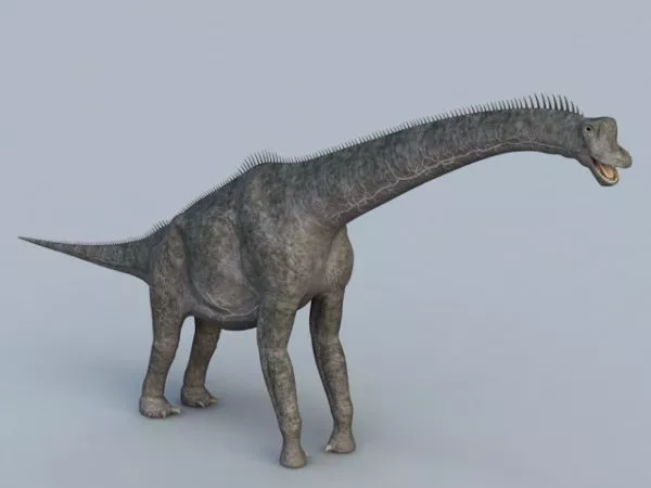 Apatosaurus Dinosaur 3d model Apatosaurus Dinosaur 3d model