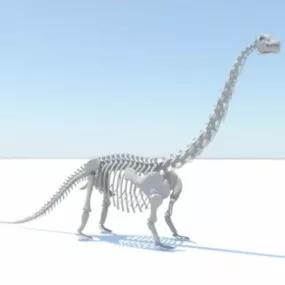 Apatosaurus Skeleton 3d model