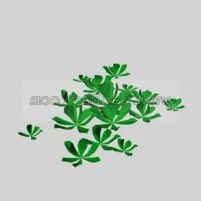 Aquatic Plant Plant 3d model