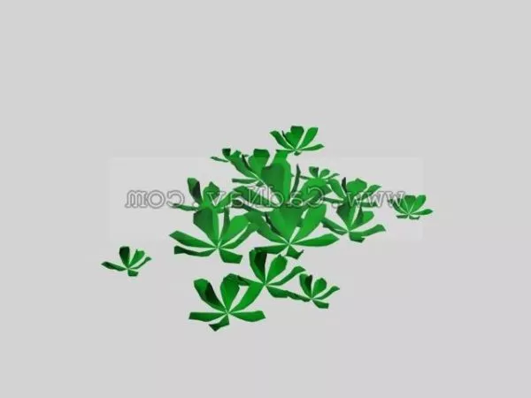 Aquatic Plant Plant 3d model Aquatic Plant Plant 3d model