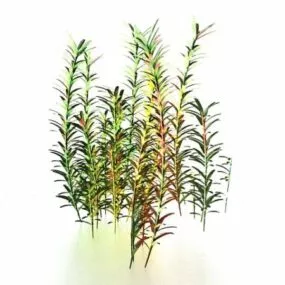 Aquatic Plants For Ponds 3d model