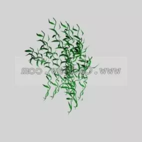 Aquatic Vegetation Plant 3d model