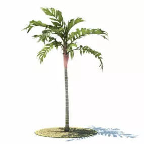 Areca Vestiaria Tree 3d model