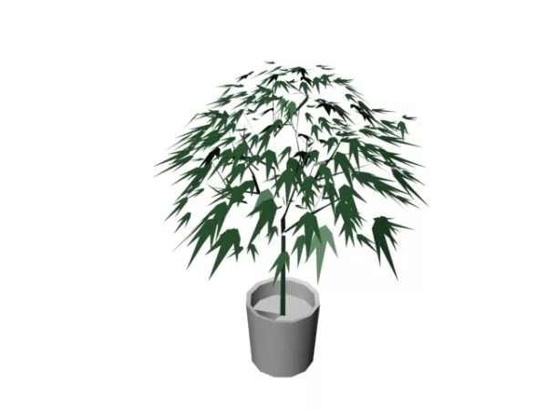 Artificial Landscape Tree 3d model Artificial Landscape Tree 3d model