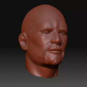 Attila Head Sculpt Mesh 3d model