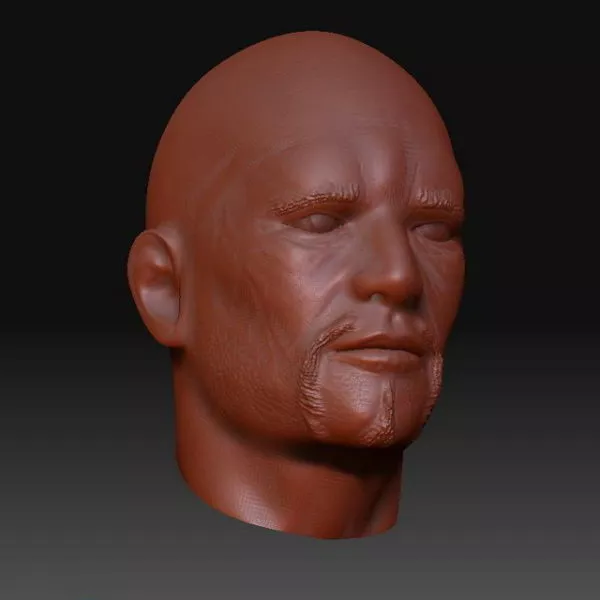 Attila Head Sculpt Mesh 3d model Attila Head Sculpt Mesh 3d model