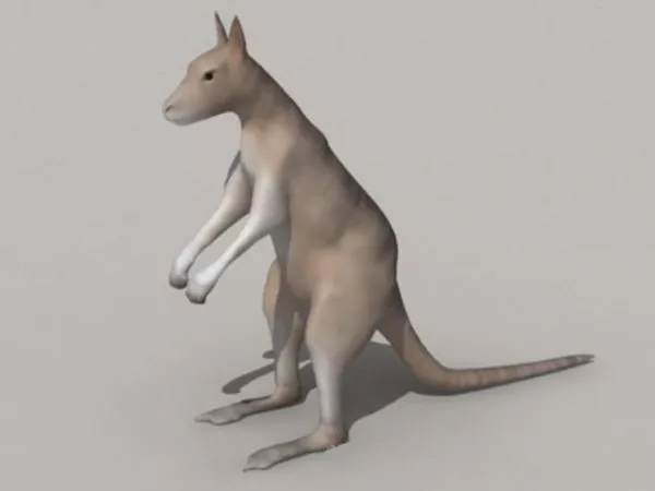 Cute Cartoon Baby Kangaroo 3d model