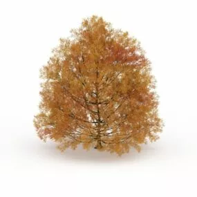 Autumn Tree 3d model