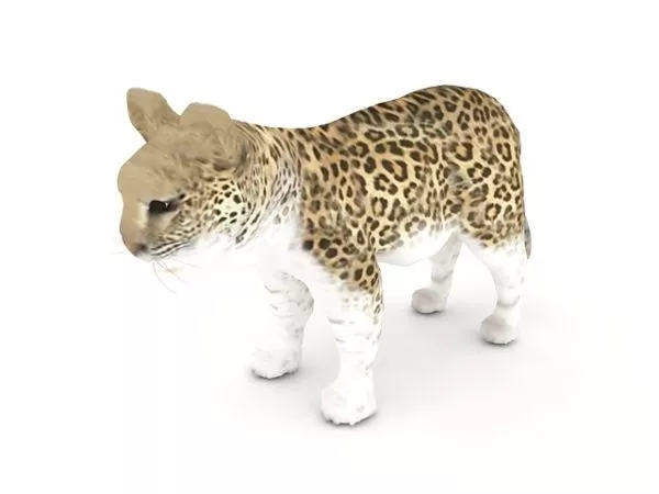 Snow Leopard Monster 3d model