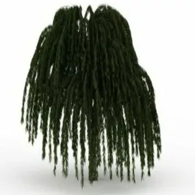 Babylon Willow Tree 3d model