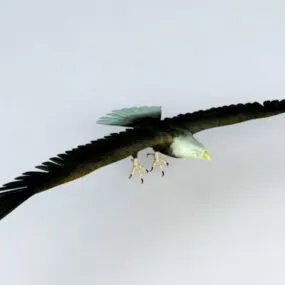 Bald Eagle Flying 3d model