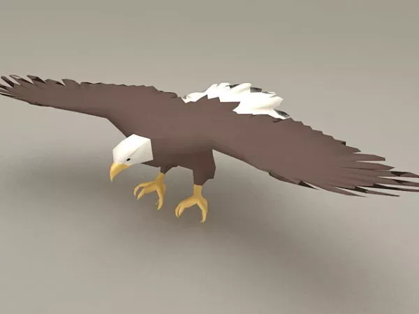 Realistic Toucan Bird 3d model
