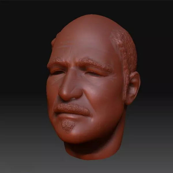 Biometric Mesh Abstract Shape 3d model