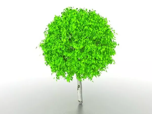 Ball Topiary Tree Nature 3d model Ball Topiary Tree Nature 3d model