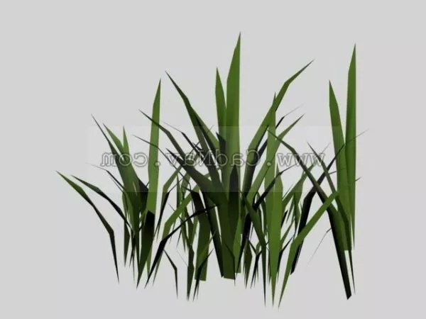 Bamboo Grove Plant 3d model