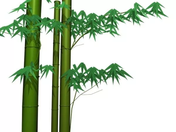 Bamboo And Leaves 3d model Bamboo And Leaves 3d model