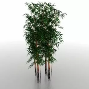 Bamboo Grove 3d model