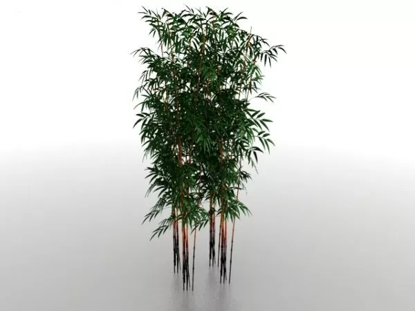 Bamboo Grove Free 3d Model - .Max, .Vray - Open3dModel 119588