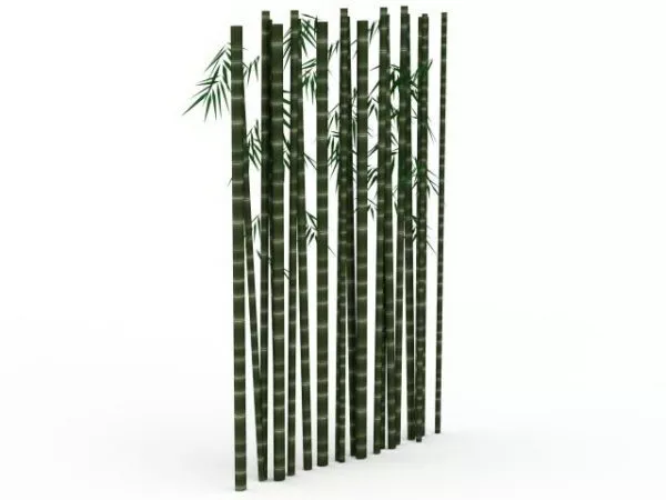 Bamboo Plants 3d model Bamboo Plants 3d model