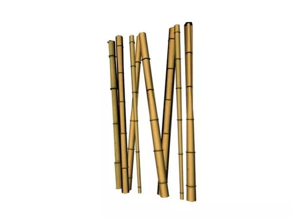 Bamboo Poles 3d model Bamboo Poles 3d model