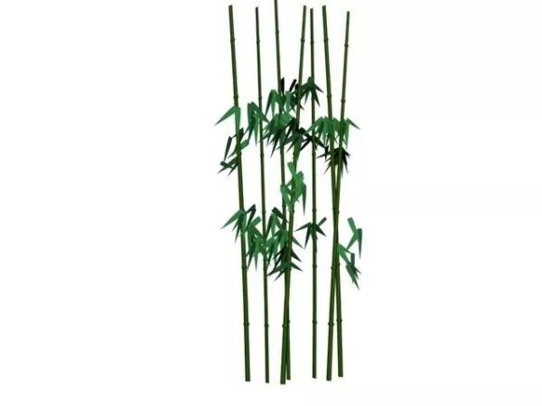 Bamboo Trees 3d model Bamboo Trees 3d model