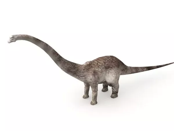 Tyranosaurus Head 3d model