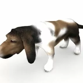 Basset Dog Animal 3d model