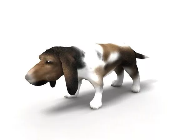 Asia Basset Hound Dog Animal 3d model Asia Basset Hound Dog Animal 3d model