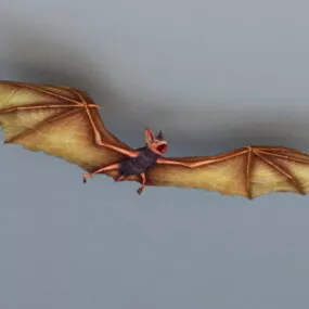 Bat Animal 3d model