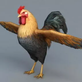 Beautiful Rooster 3d model
