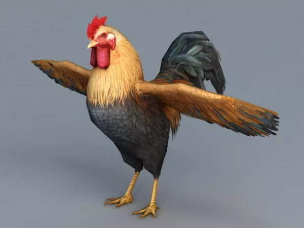 Beautiful Rooster 3d model Beautiful Rooster 3d model