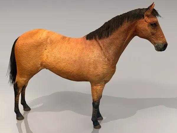 Beautiful Horse Animal 3d model Beautiful Horse Animal 3d model