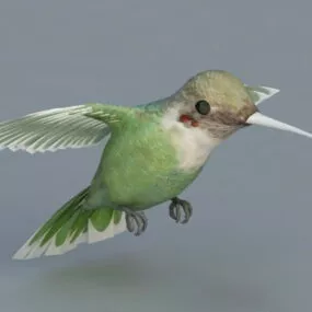 Bee Hummingbird 3d model