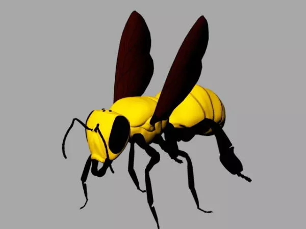 Bee Wasp 3d model Bee Wasp 3d model