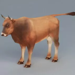 Beef Cattle 3d model
