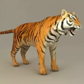 Bengal Tiger 3d model