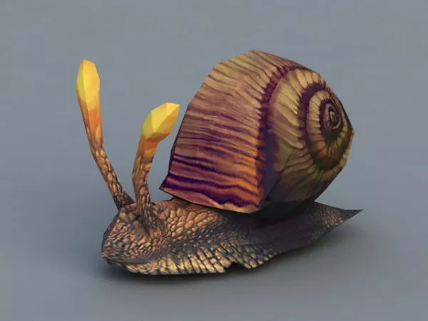 Big Snail 3d model Big Snail 3d model