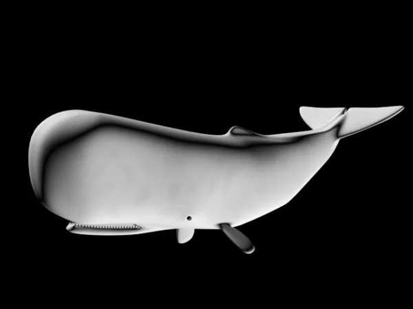 Big Whale Rig 3d model Big Whale Rig 3d model