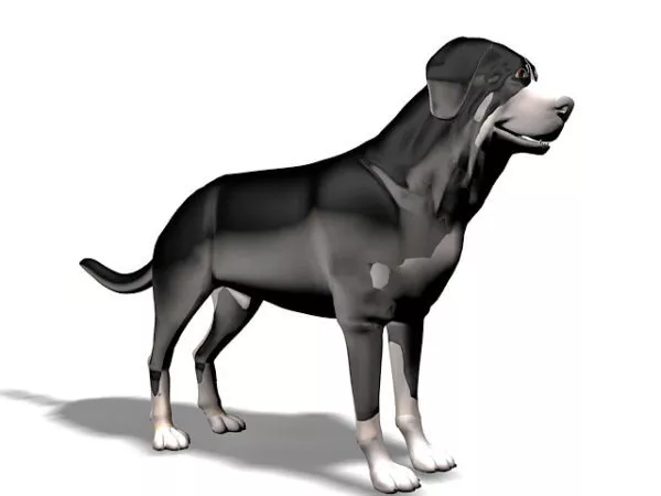 Big Black Dog Animal 3d model Big Black Dog Animal 3d model