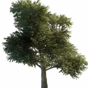 Big Tree 3d model