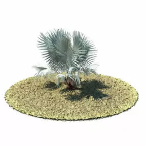 Bismarckia Nobilis Tree 3d model