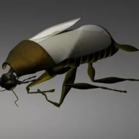 Black Cockroach 3d model